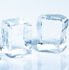 The Ice Age