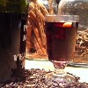 The New Breed of Fall Winter Cocktails
